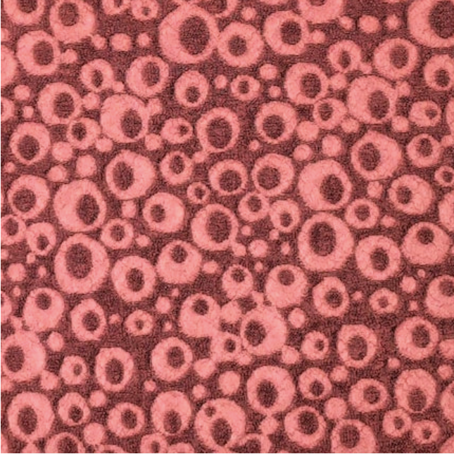 Coral Jacquard Polka Dot