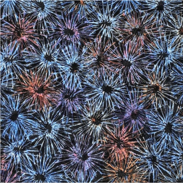 EVERY DIRECTION ART 2 Jacquard Print – LEGACY LINE INC
